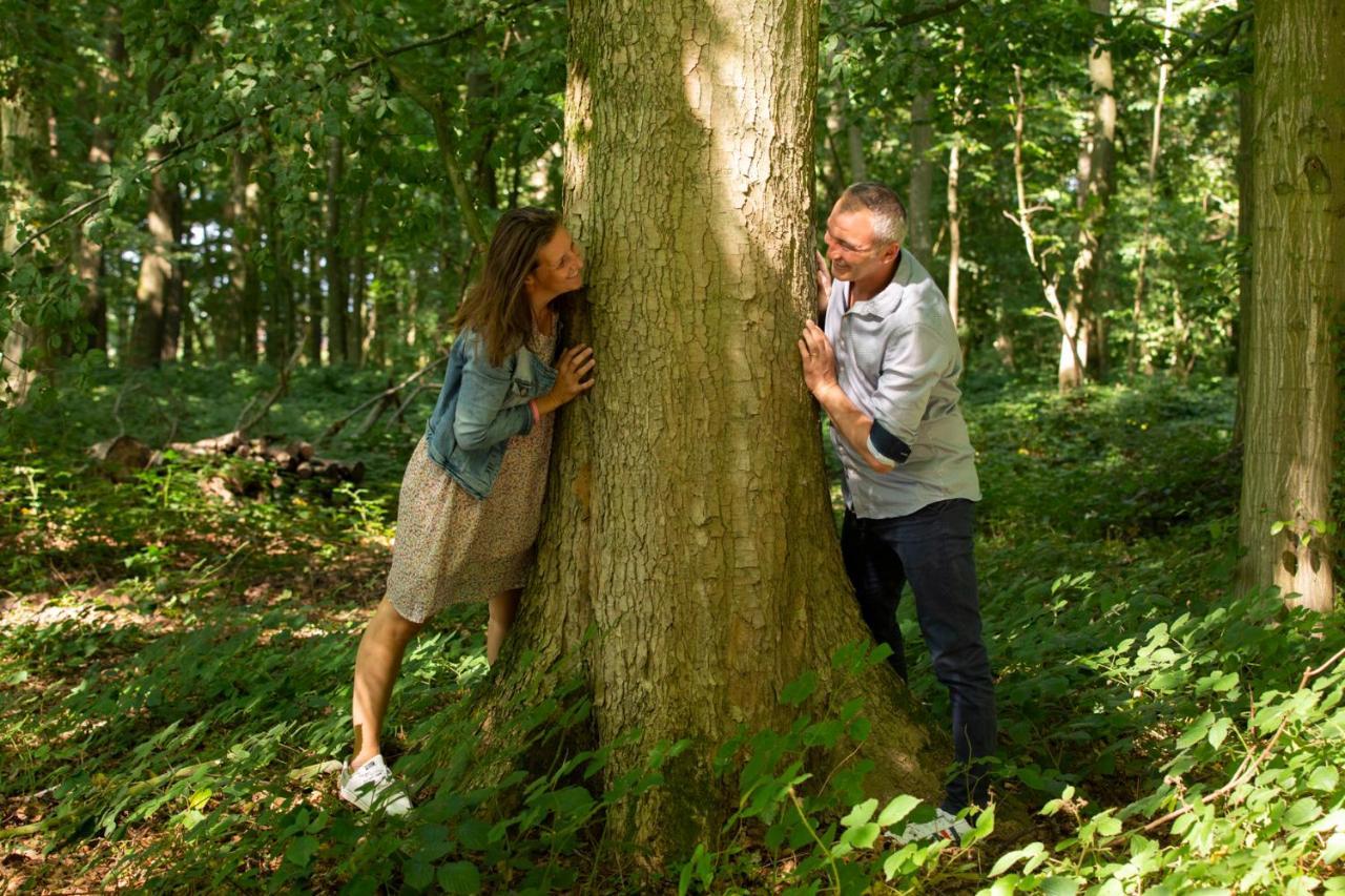 Aux Petits Lapins De Sorval, Sauna Prive, Fitness Selvigny Bagian luar foto